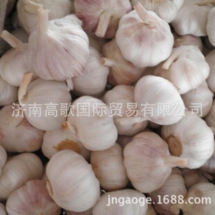 ���S��ֱ�N�� ���ڴ���garlic �|�����C �gӭ�����xُ