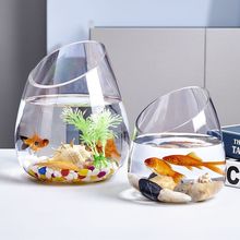 玻璃水培植物花瓶透明斜口鱼缸斜口绿萝水培花盆水培器皿水族养鱼