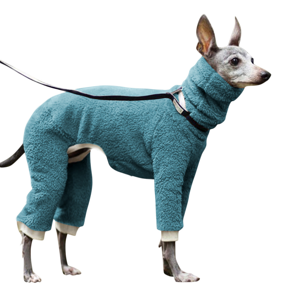 Greyhounds Whippet Coat