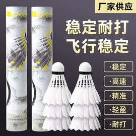 羽毛球拍;羽毛球;乒乓球网