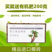 Ҭ�u��Ҭ��Ҭ���B���N�˻��|����Ҭ���u���}������