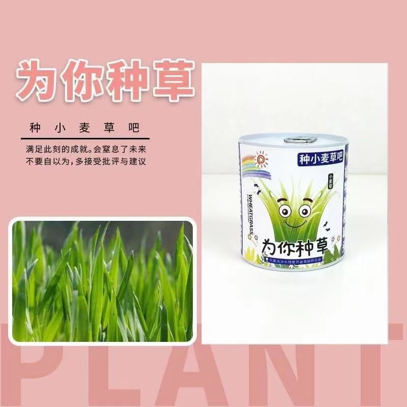 退屈解消ブラインドボックスオフィス魔法の植物小さな鉢植え緑の植物缶詰デスクトップミニ子供の手作りおもちゃ減圧|undefined