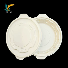 塑料盒;吸塑托盘;一次性餐盒