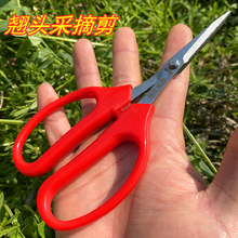 ̨��������936���P��N�^ϡ���������޹������û��ܼ�֦��