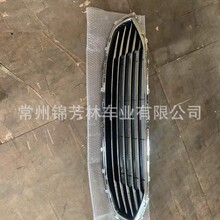 �����ڸ����ɵ�ŷ2019 2020���� GRILLE  FUSION 2019 HS73-8200