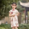 Yuanmu (simulation silk)