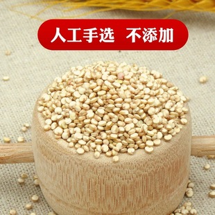 �������ЙC޼�����״��װ�ɫ�������������ʴּZ�s�Z���׹����w��