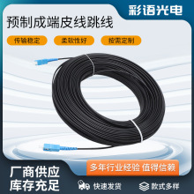 �A�Ƴɶ�Ƥ�����w����SC/UPC100����Ź��w�����վ��ˮ�������L