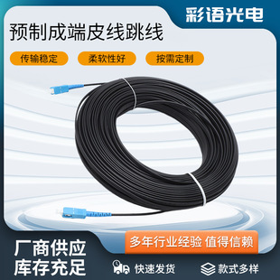 Prefabricated End Leather Wire Fiber Pumper SC/UPC100m Telecom Fiber Outdoor Base Station Waterproof Outdoor Extension
