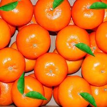 沃柑橘子薄皮桔子新鲜水果批发非广西武鸣沃柑礼盒装工厂一件批发