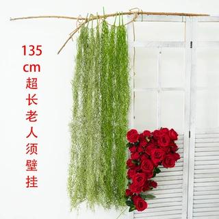 仿真壁挂空气草壁挂老人须装饰藤条绿植商场一帘幽梦植物墙花草