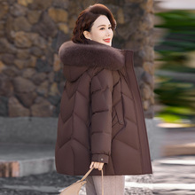 ������������ꋌ���b��q��Ů����Ӻ����ë�I�����˶��b����