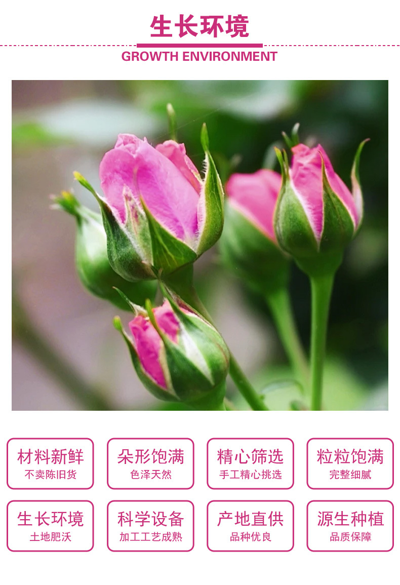 Pingyin Rose Buds (Rosa rugosa) — Double-Petal Dried Rose Tea, Loose Flower Herbal Tea quality and texture