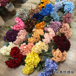 �����潑�򻨡�5�^��������߷������c�ٻ��S�ҹ�����c����
