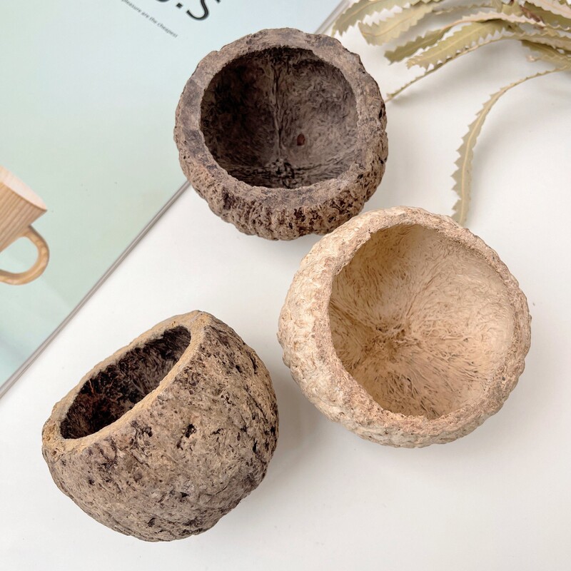【Small Bowl Shells】Dried Shells, Dried Bowl Candles, Trays, Natural Plant Decorations, Home Decor, Bean Pod Fruits 【Small Bowl Shells】Dried Shells, Dried Bowl Candles, Trays, Natural Plant Decorations, Home Decor, Bean Pod Fruits