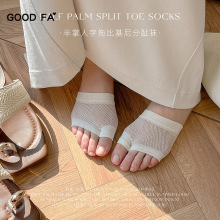 GOOD FA2025���������������������ϱȻ����ֺ�����н��� 25021