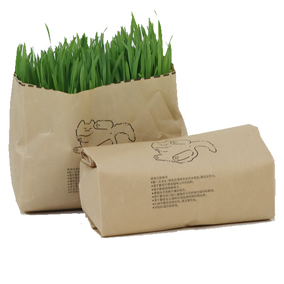 Nuevo producto pasto para gatos perezoso, trigo, cultivo sin suelo, bolsa de pasto para gatos, cabello para ayudar a la digestión, bocadillos para gatos, pasto para gatos al por mayor