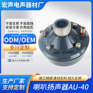 AU-40���ȓP�� ���ʏV��У�@�����V�����������������^���l