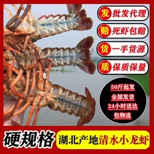 �����������С���r�r����r��ˮ�r48С�r���ֱ�_30������]