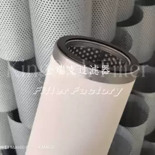 QPT-230-A-10L 天然气过滤器滤芯 聚结分离滤芯
