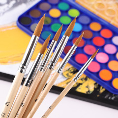 Bolome Cross-Border Amazon Pointed Watercolor Brush Set Nylon Tip Painting Brushes for Beginners, 6 Pieces