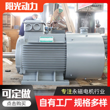 30KW直驱永磁发电机低速高效发电 10kw无刷直驱大功率永磁发电机