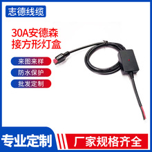 ����ɭ��܇��늲��^�� 30A����ɭ�ӷ��Ο��о� ���w̫����B�Ӿ�