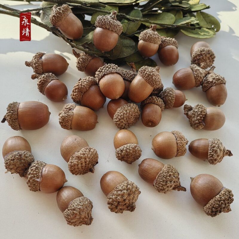 Acorn Natural Small Acorn Nut Home Holiday Christmas Holiday Decoration Props
