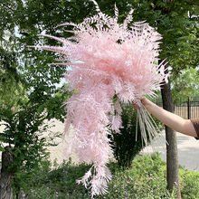 �\��ɫϵ���� ��c���滨��Y�õ��·���b������ϼٻ����컨