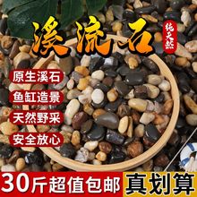 鹅卵石原生溪流石溪流沙底砂水培天然小石子鱼缸造景花盆装饰铺路