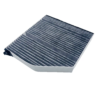 Carbon Pm2.5 Filter A2548350200, Air conditioning filter