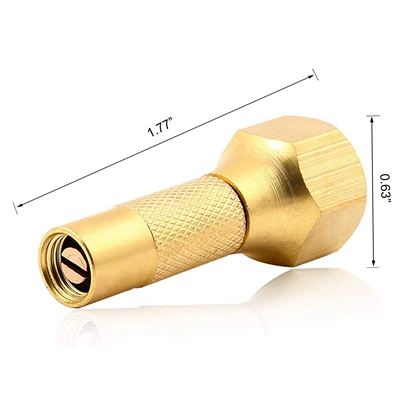 Inflatable screw head wholesale tire valve