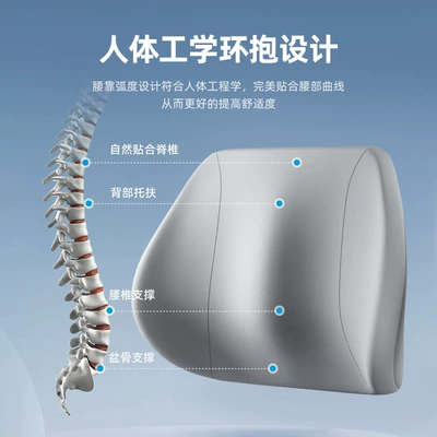 Lumbar Support Neck Pillow | Waist support