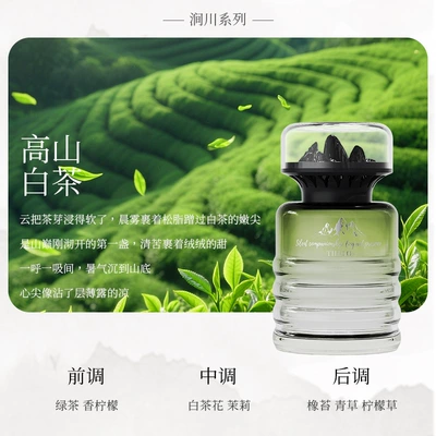 Car Perfume Aromatherapy Long-Lasting Light Fragrance, Women's Special - jianchuan-alpine-white-tea-1-bottle-140ml