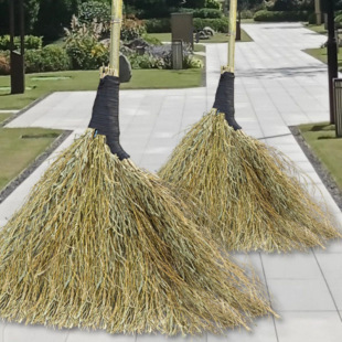 �����λ���S��̖����߰ѭh�l�����R·�߼��üӌ�Ժ�ӽ�֦��̖