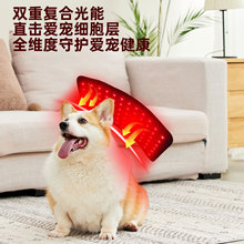 宠物红光按摩仪狗狗骨折腰椎恢复关节猫咪红光腰带红光宠物加热垫