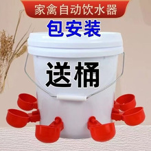 利黎饮水喝水碗小鸡自动鸡养殖碗自动饮水器家禽鸭鹅食槽鹌鹑鸽用