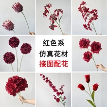 �¿�tɫ��ʽ��Y��֦���滨��tɫ�Ƽtɫ��Y��·���b廨�ٻ�