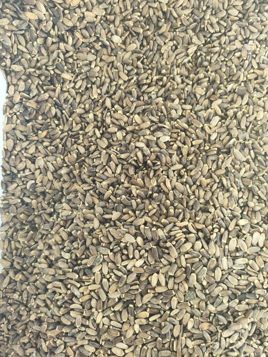 Milk Thistle Seed Powder (Silybum marianum) — Shui Fei Ji Herbal Powder, 500g specifications