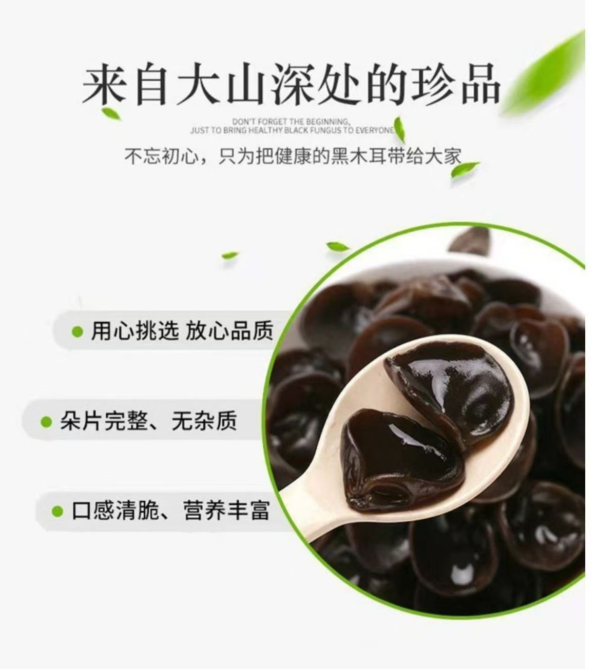 Dried Black Fungus Wood Ear Mushroom Hei Mu Er Auricularia auricula Thick Meaty Slices 500g for Home Cooking quality and texture