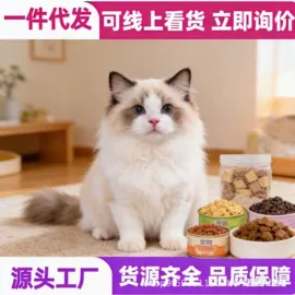 宠物周边用品;狗狗玩具;狗狗服装