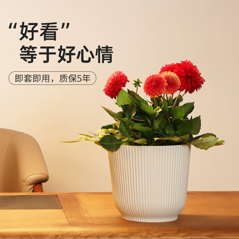 Галлон пальто горшок пластиковый беспористый цветочный горшок фаленопсис зеленый укроп декоративный горшок простой крытый большой диаметр утолщение