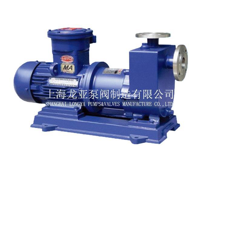 ZCQ32顺丁烯二酸二烯丙酯磁力泵 ZCQF永磁驱动工程塑料自吸磁力泵