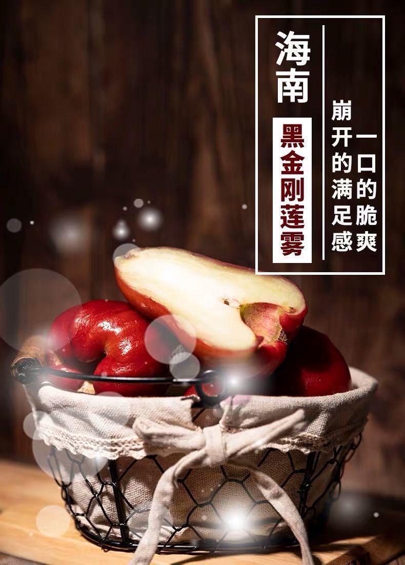 b2537dc6-12b3-4280-8d05-5593905f1dc2.jpe