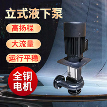 Դ����ʽҺ�±�YLX450-65�ۃȳ�ˮ�� ��sѭ�h��UV��T�b�O��ˮ��