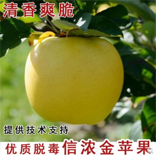 �޽ӹ������ŝ��S�O����������O�������Ե��Թ����ϱ���ͥԺ����