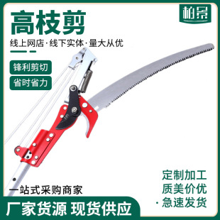 �м��x̨������ľ����s�߿���֦��ʡ����݆�߿�䏼��L��֦������