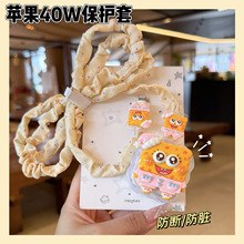 �¿�d�����O��40W�ӑB�Դ�m�������o��iPhone17��������o��