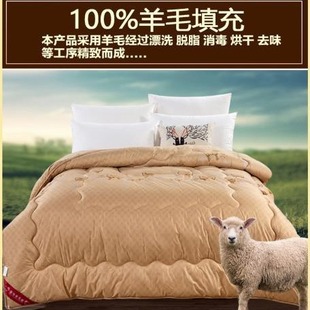 Winter Australian wool 100 pure wool quilt winter quilt thickened warm cashmere quilt core