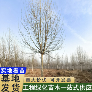 ���lȫ�ھ�Ʒ��ͩ���繤�����е���@�־G�����ľ����С���N